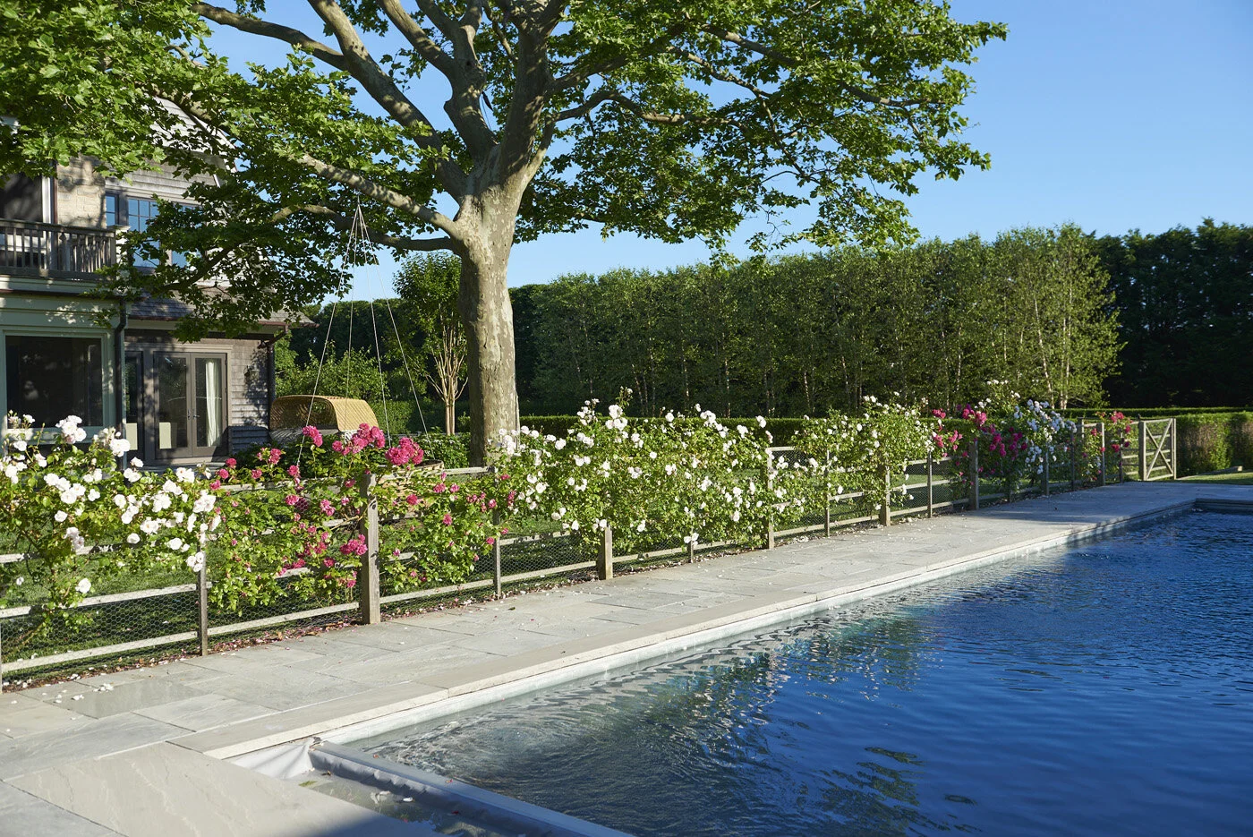 Demauro_Landcape_Design_Gardens_Hamptons_Mecox_0291.jpg