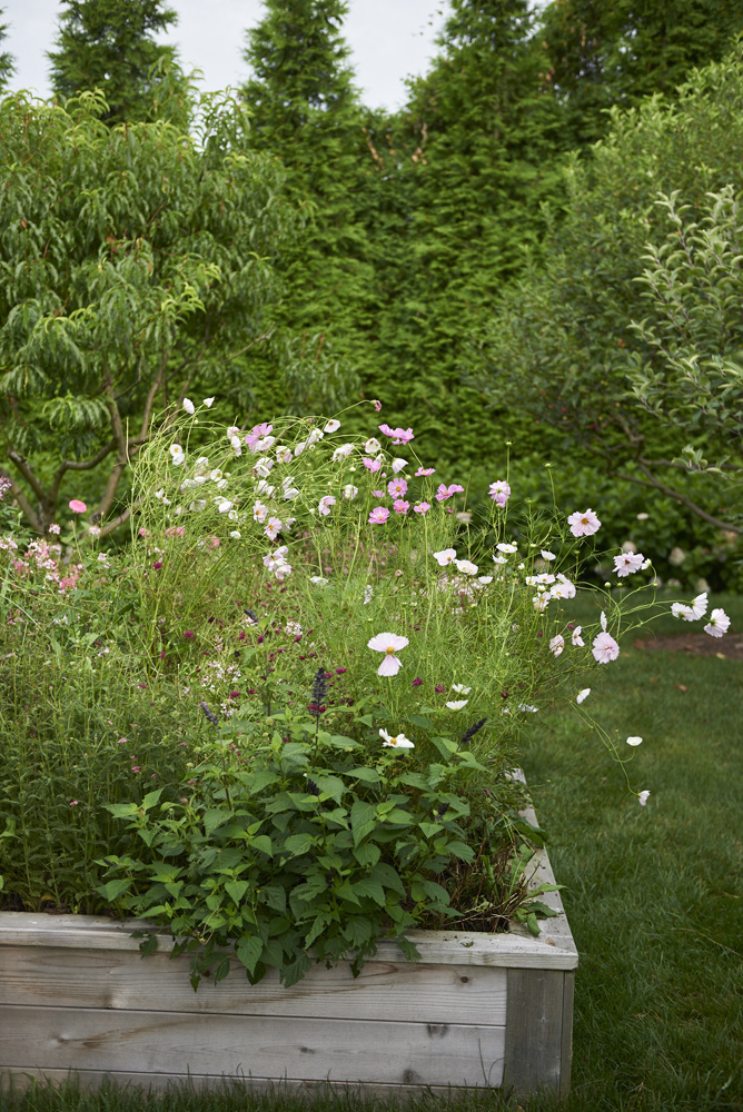 Demauro_Landcape_Design_Gardens_Hamptons_Mecox_0251.jpg