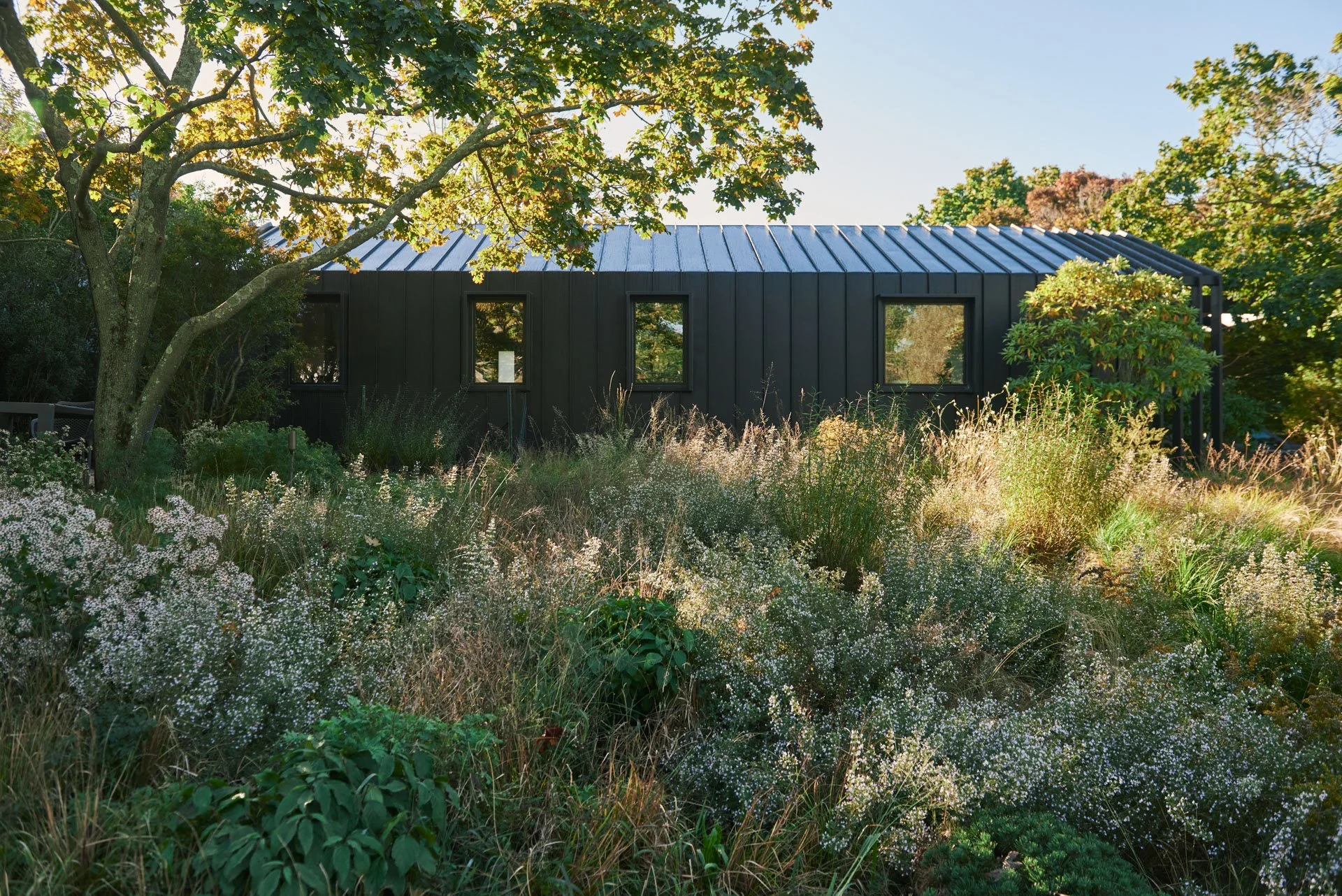 Landscape & Garden Designs — deMauro + deMauro