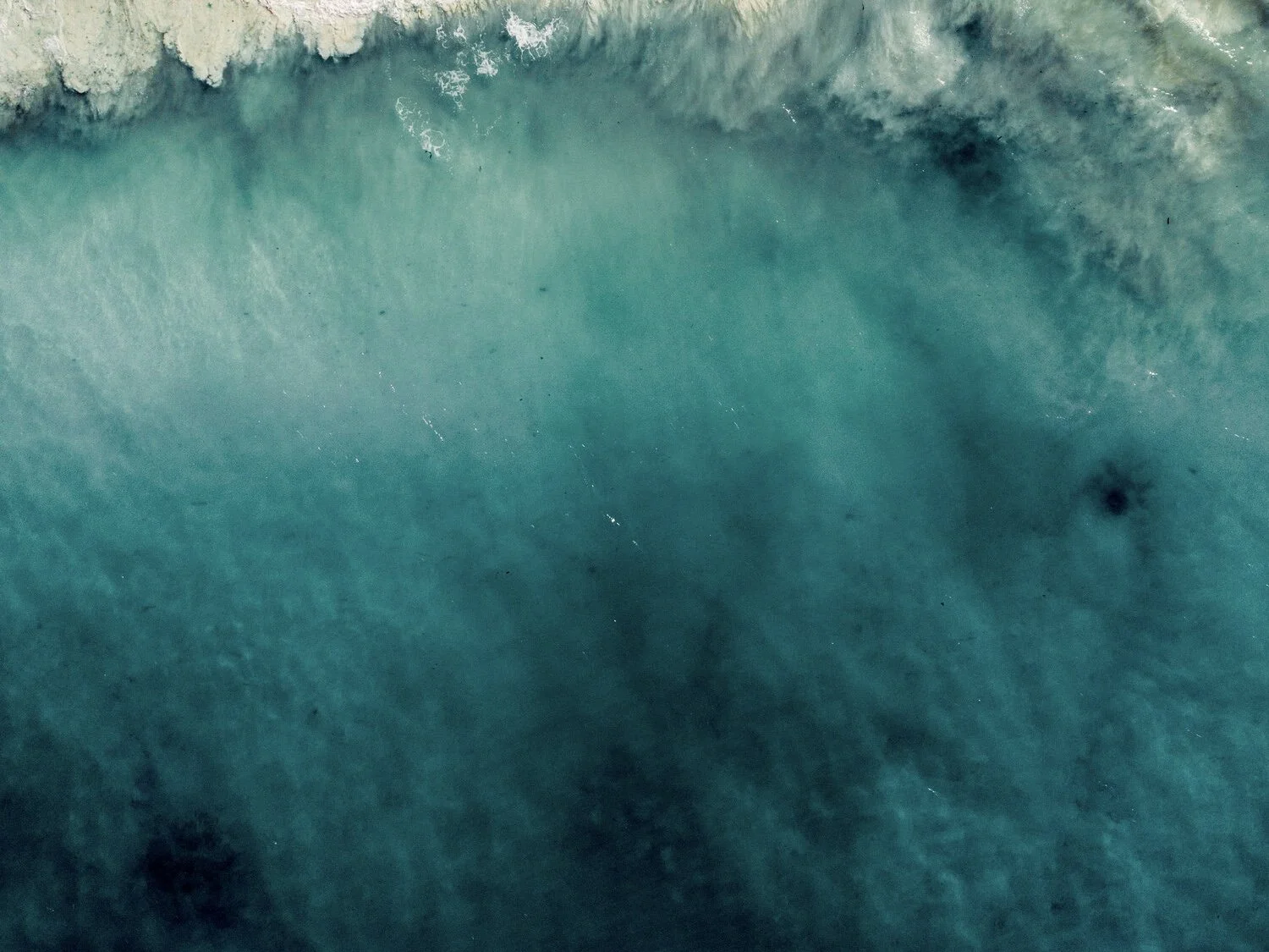 Blue Mind: Finding Peace by the Water