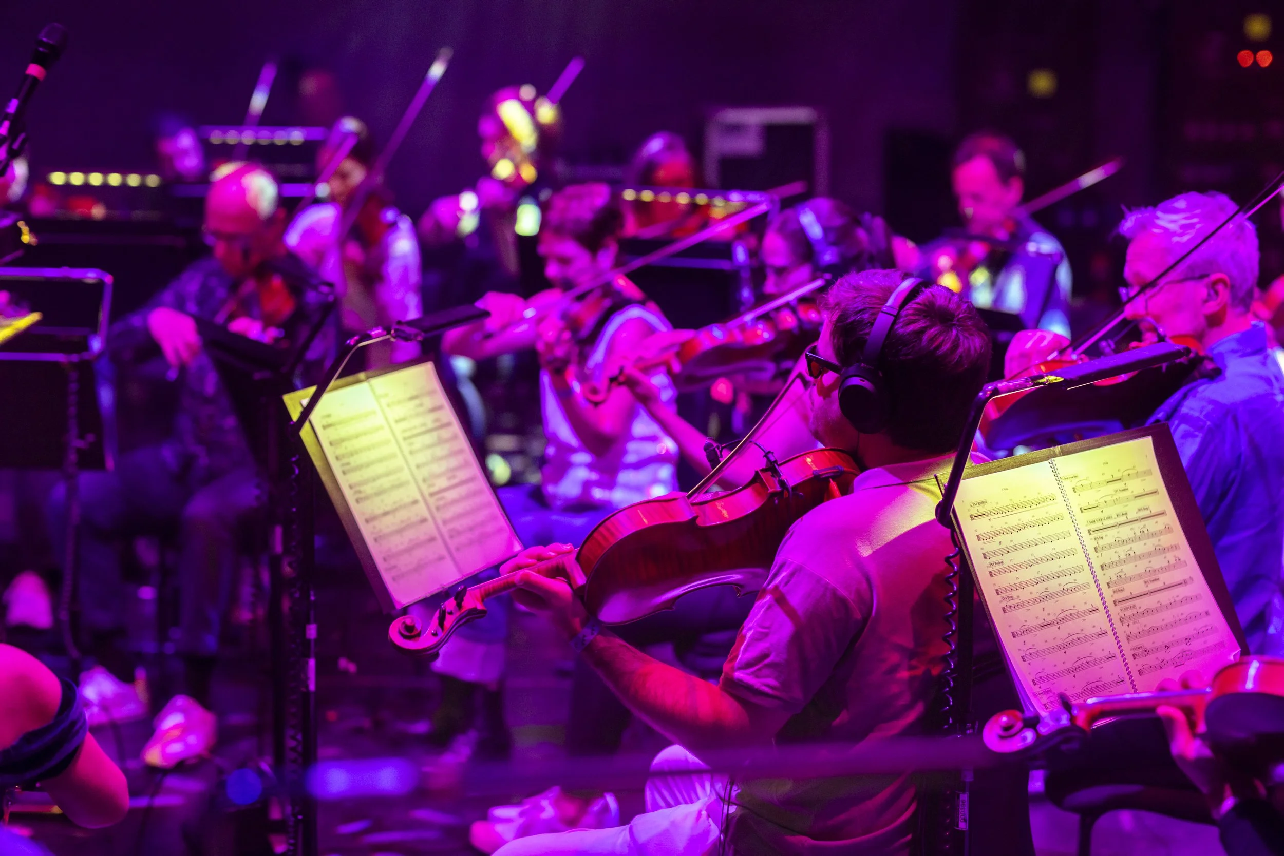 ©Scott Salt_Big Blue Whale46.jpg