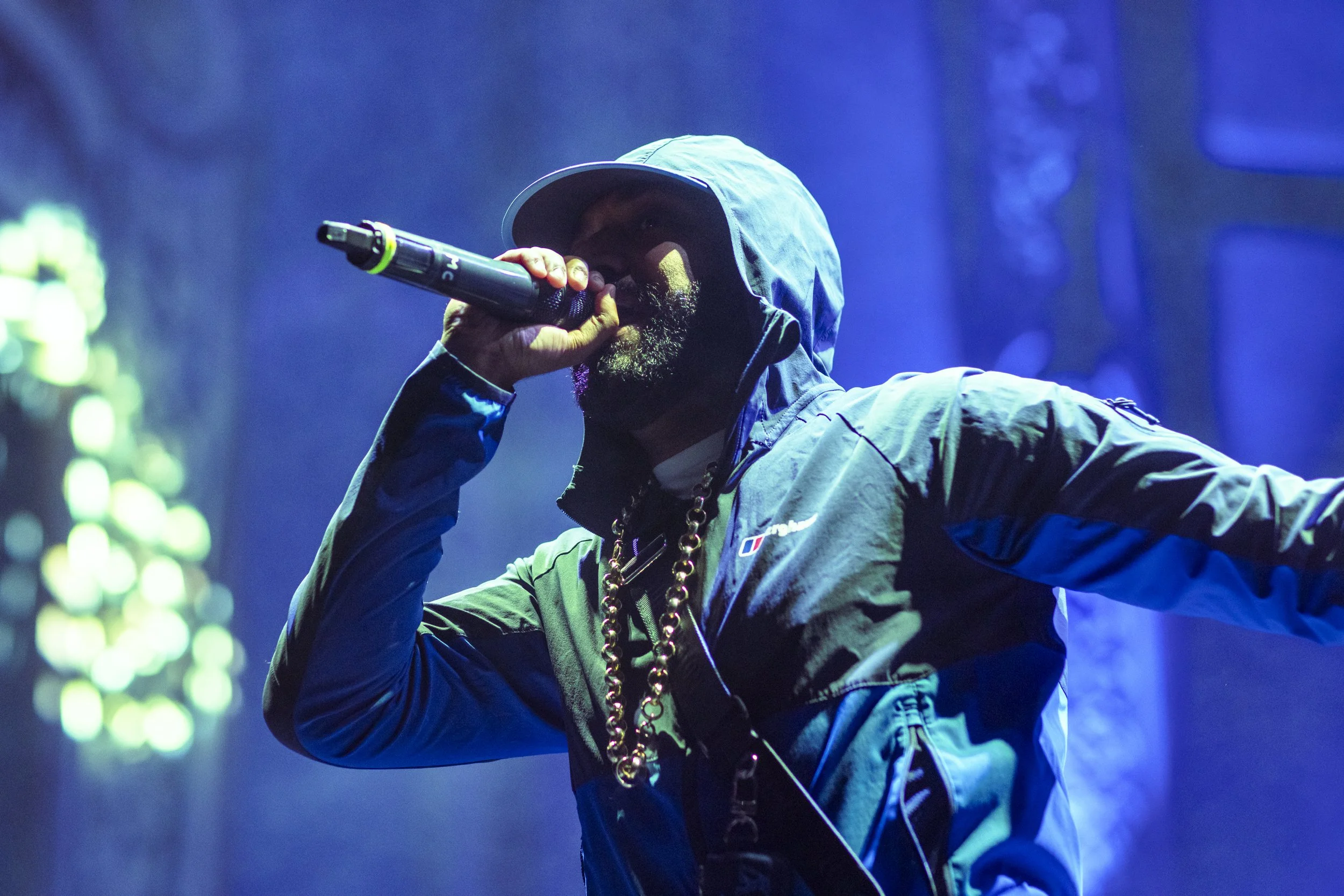 ©Scott Salt_Big Blue Whale3.jpg