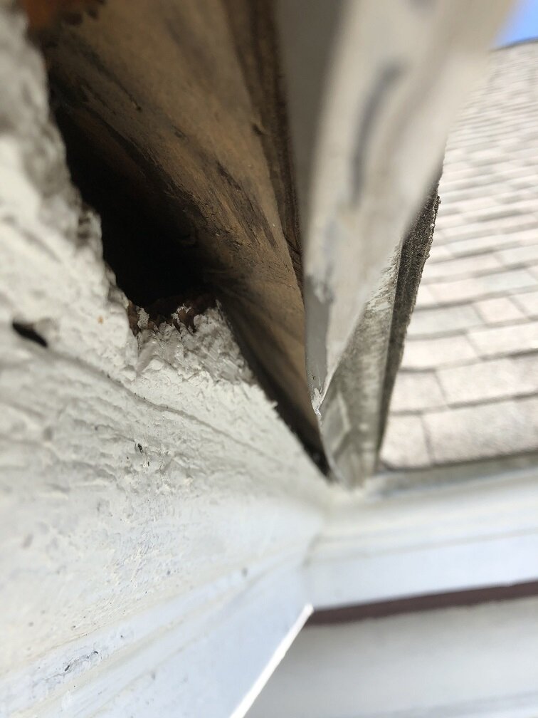 drip edge gap at fascia trim to roof board