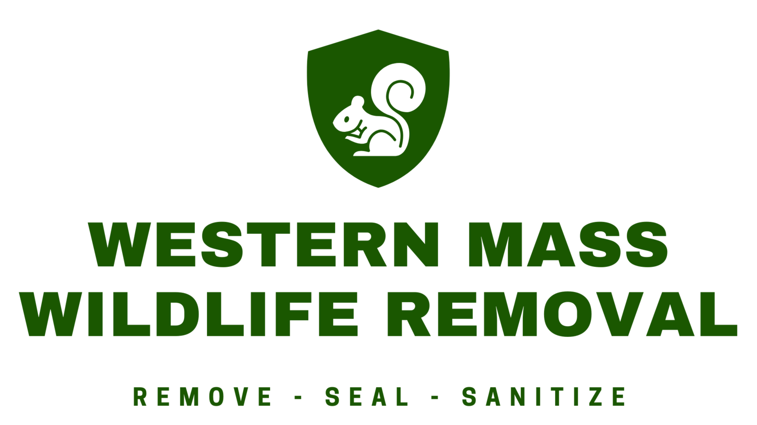 Western Mass Wildlife Removal