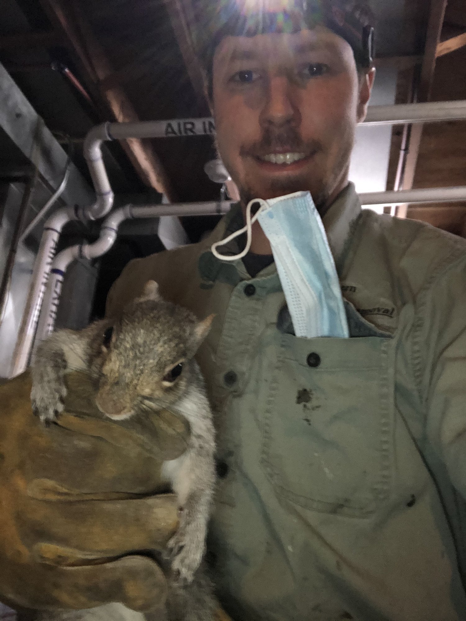 Squirrel Removal Montgomery County - PA Squirrel Control - Patriot Pest  Solutions