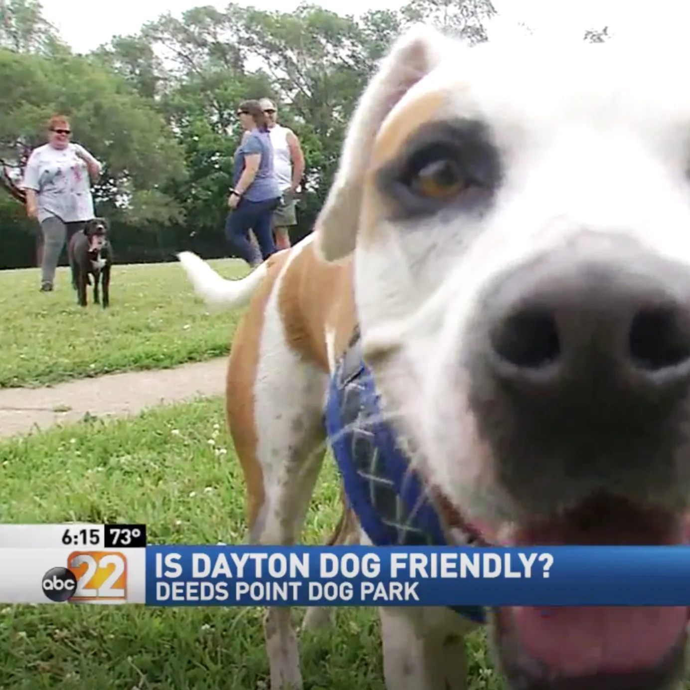 Coverage re: off-leash play options