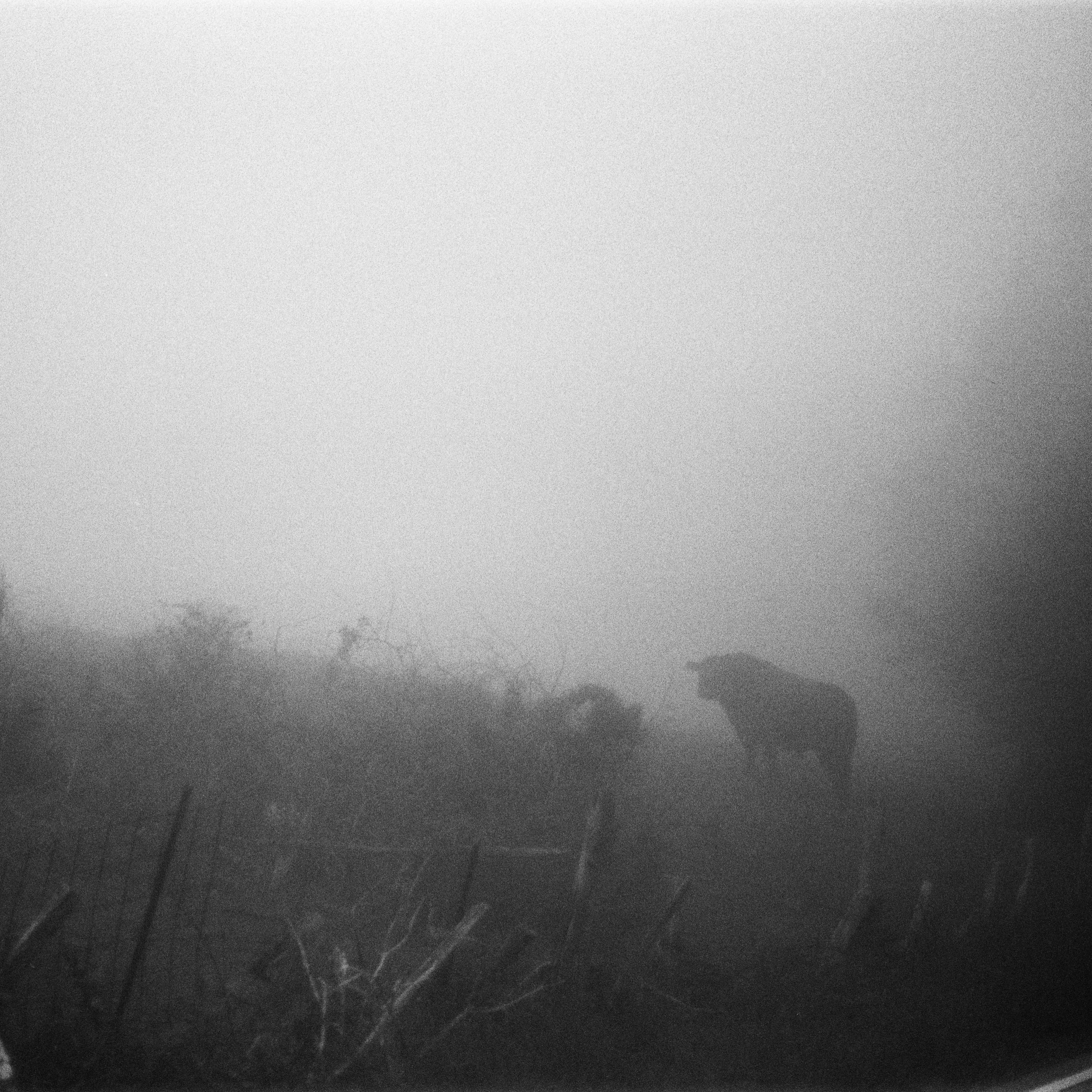 Spotify Thumbnail.jpg