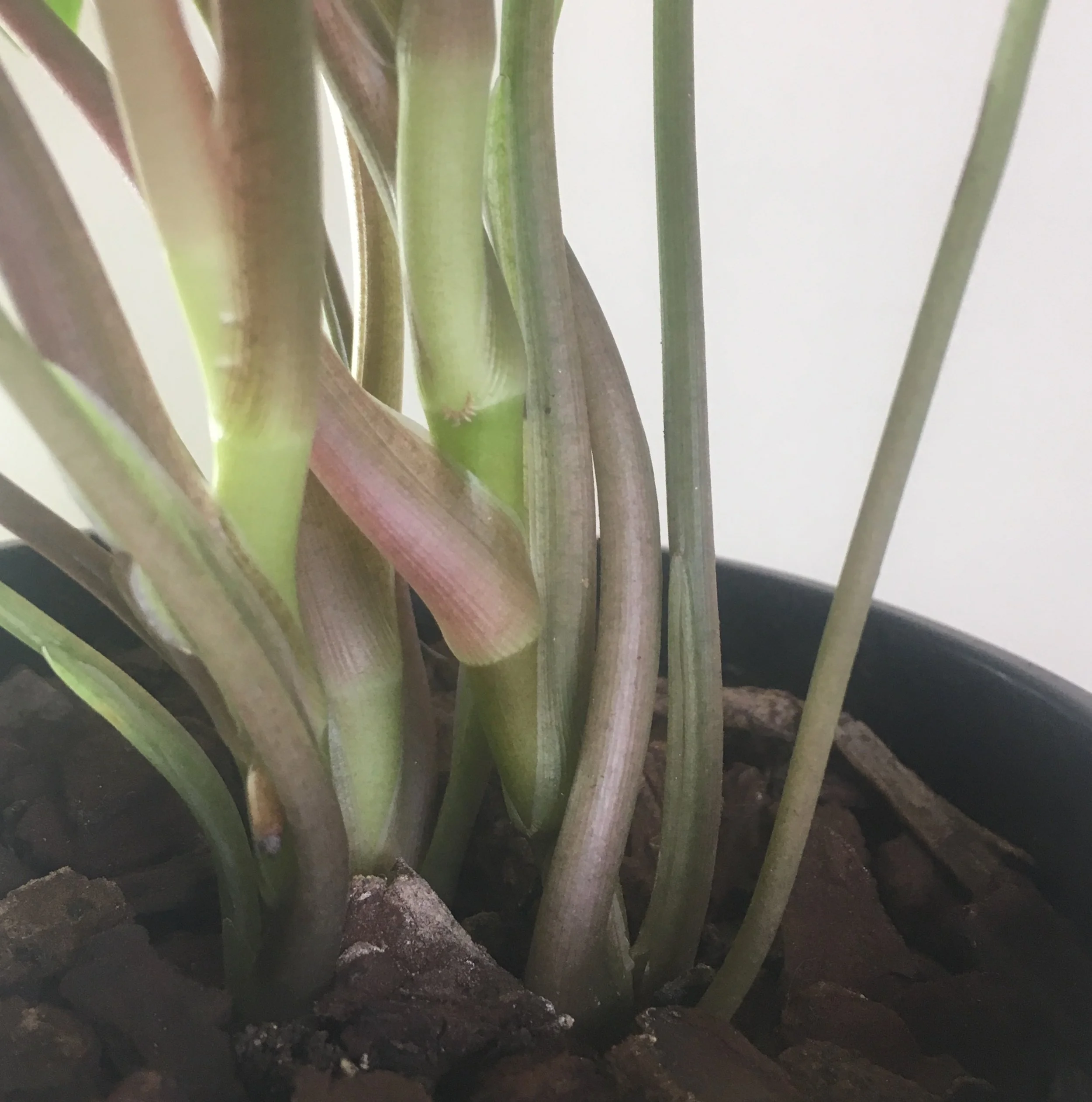 2019-05-05 11.28.23-1.jpg