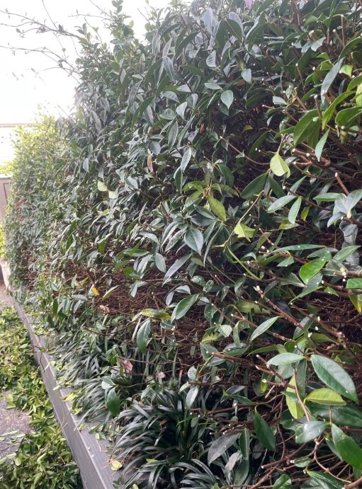 Running a lawn or gardening franchise