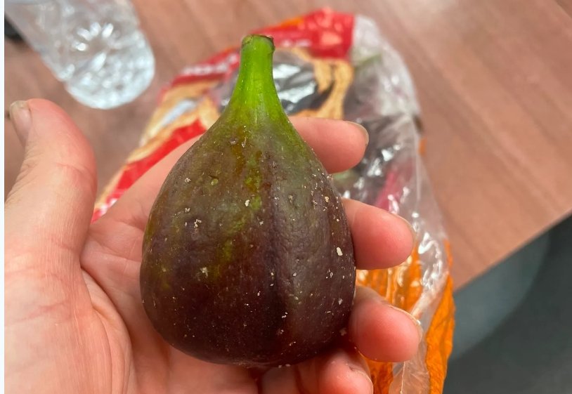 Figs, all the way down