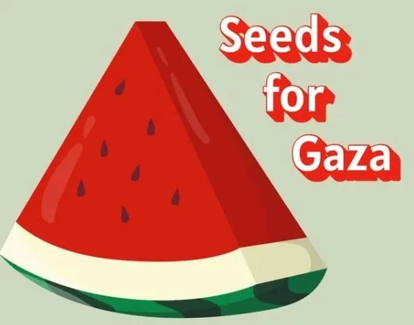 Seeds for Gaza and too much time on Aliexpress