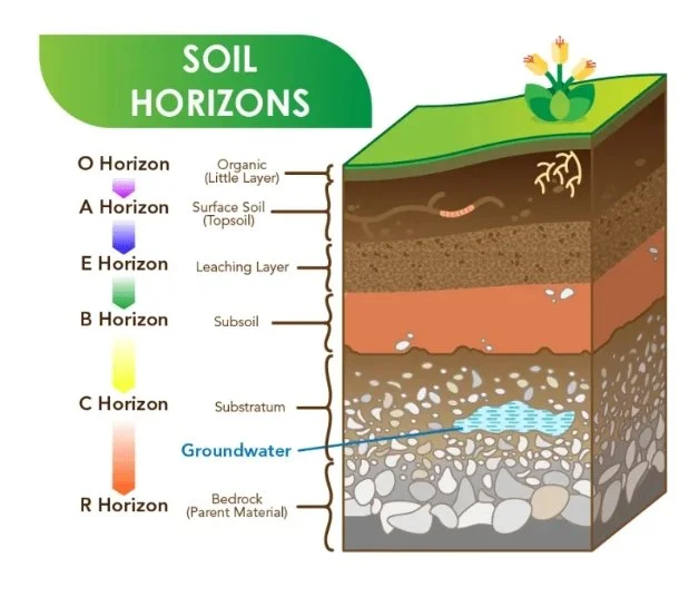 Some soil basics