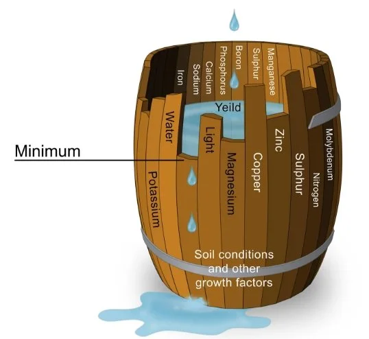 Soil nutrients