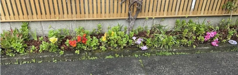 Put in some things that you like