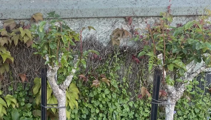 Getting by vs levelling up