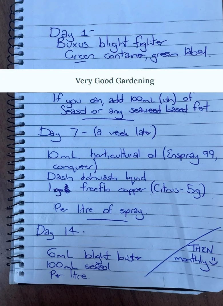 Fungal issues and spraying