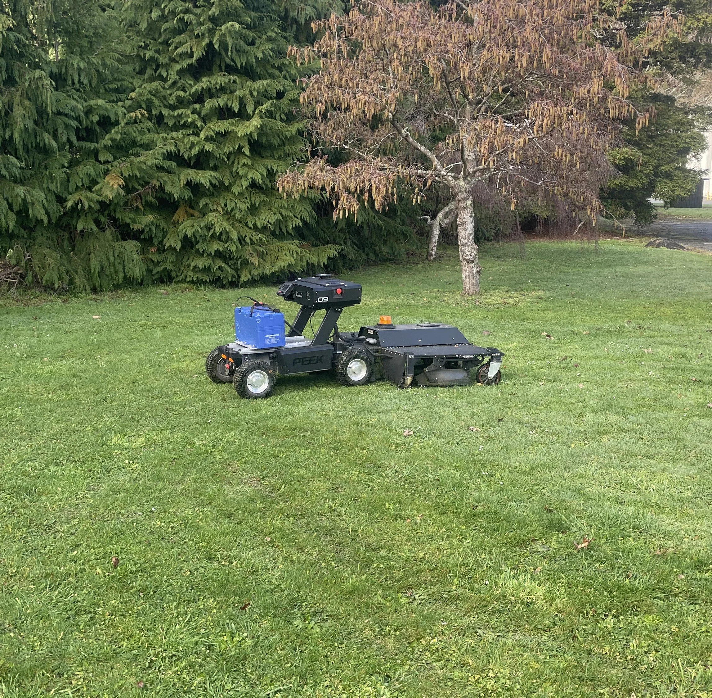 ride on lawn mower lawns mowing wellington