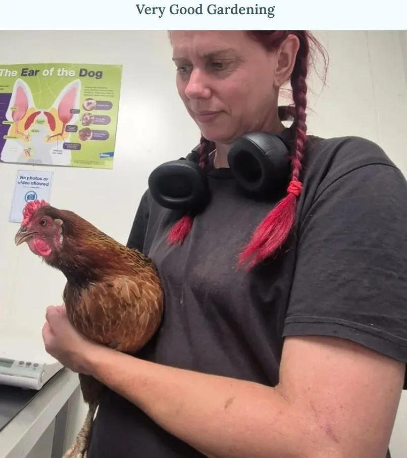 Picture of Zoe holding the chicken Stomps