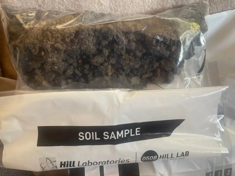 Soil sample