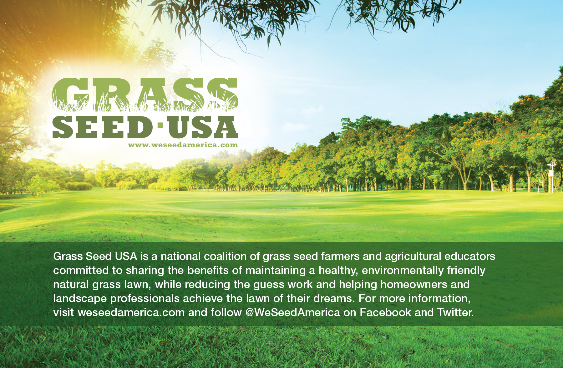 Grass Seed 1_2.jpg