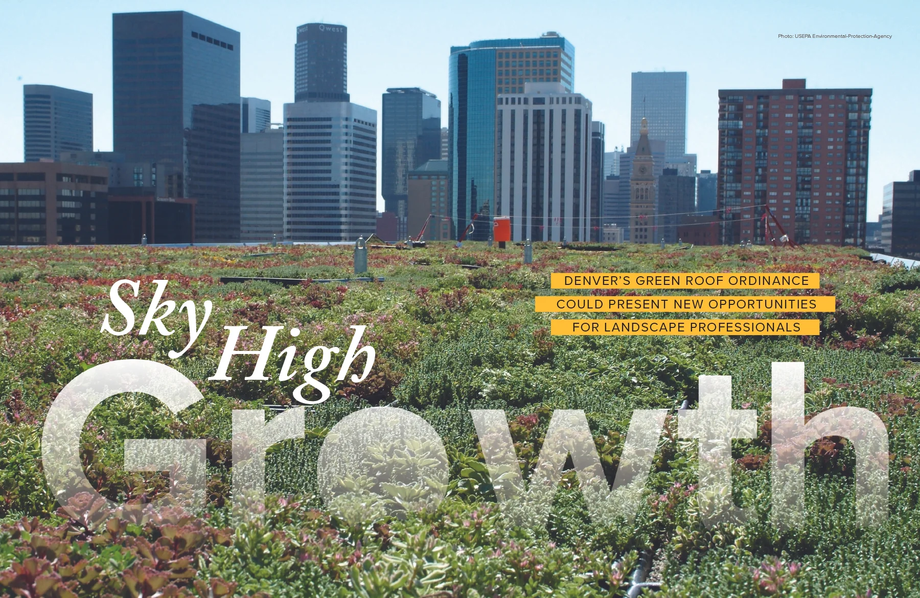 CPL_Fall 2018_Sky High Growth2.jpg