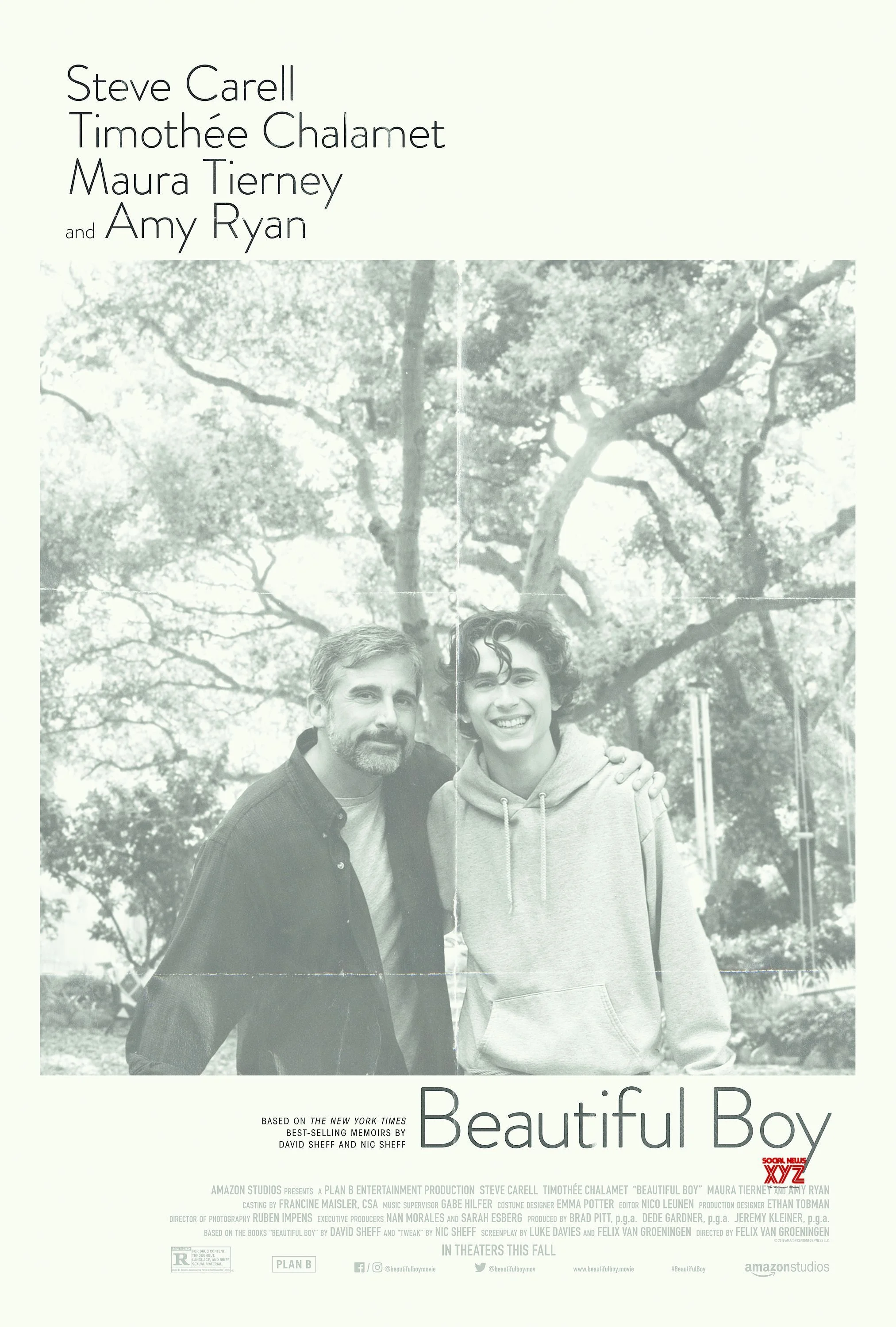 "Beautiful Boy (2018) ★★1/2