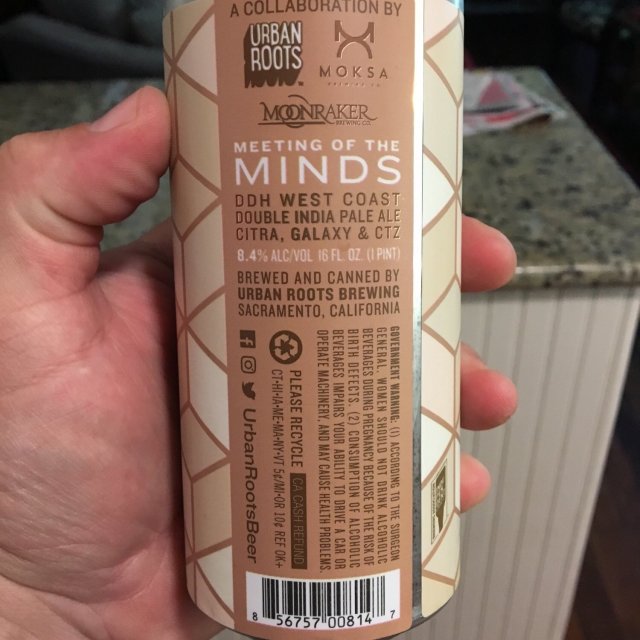 "Meeting of the Minds" Urban Roots Brewing ★★★★