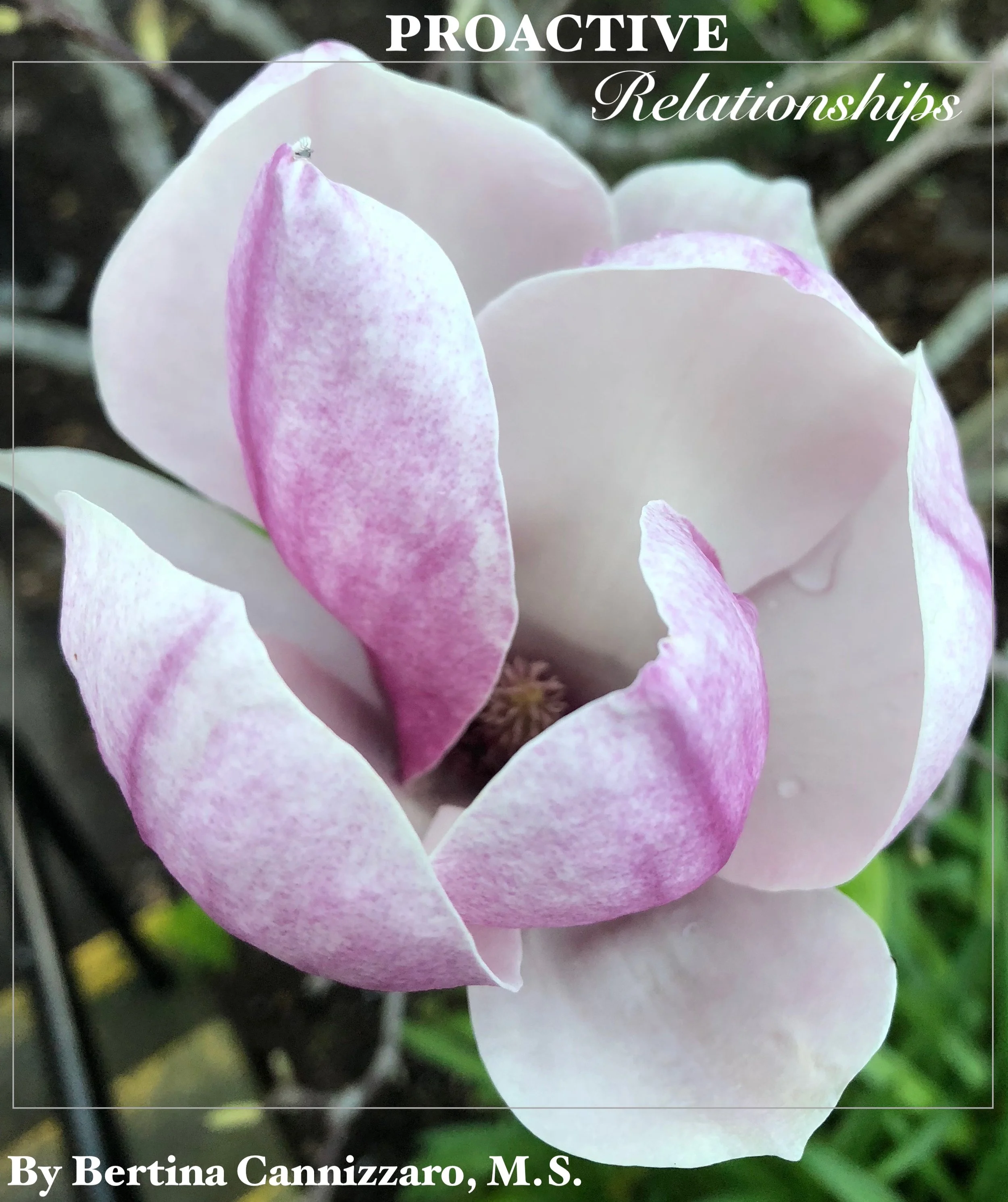 Proactive Relationships ~ by Bertina Cannizzaro, M.S..jpg