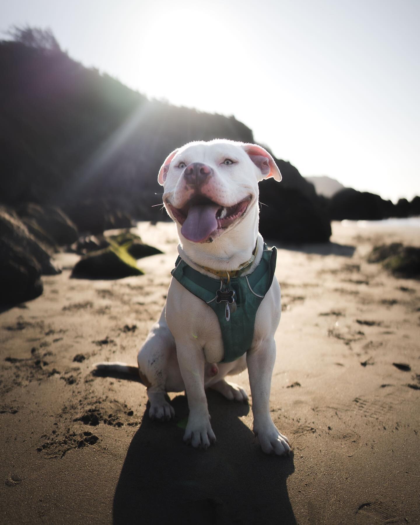 Smile as bright as diamonds.