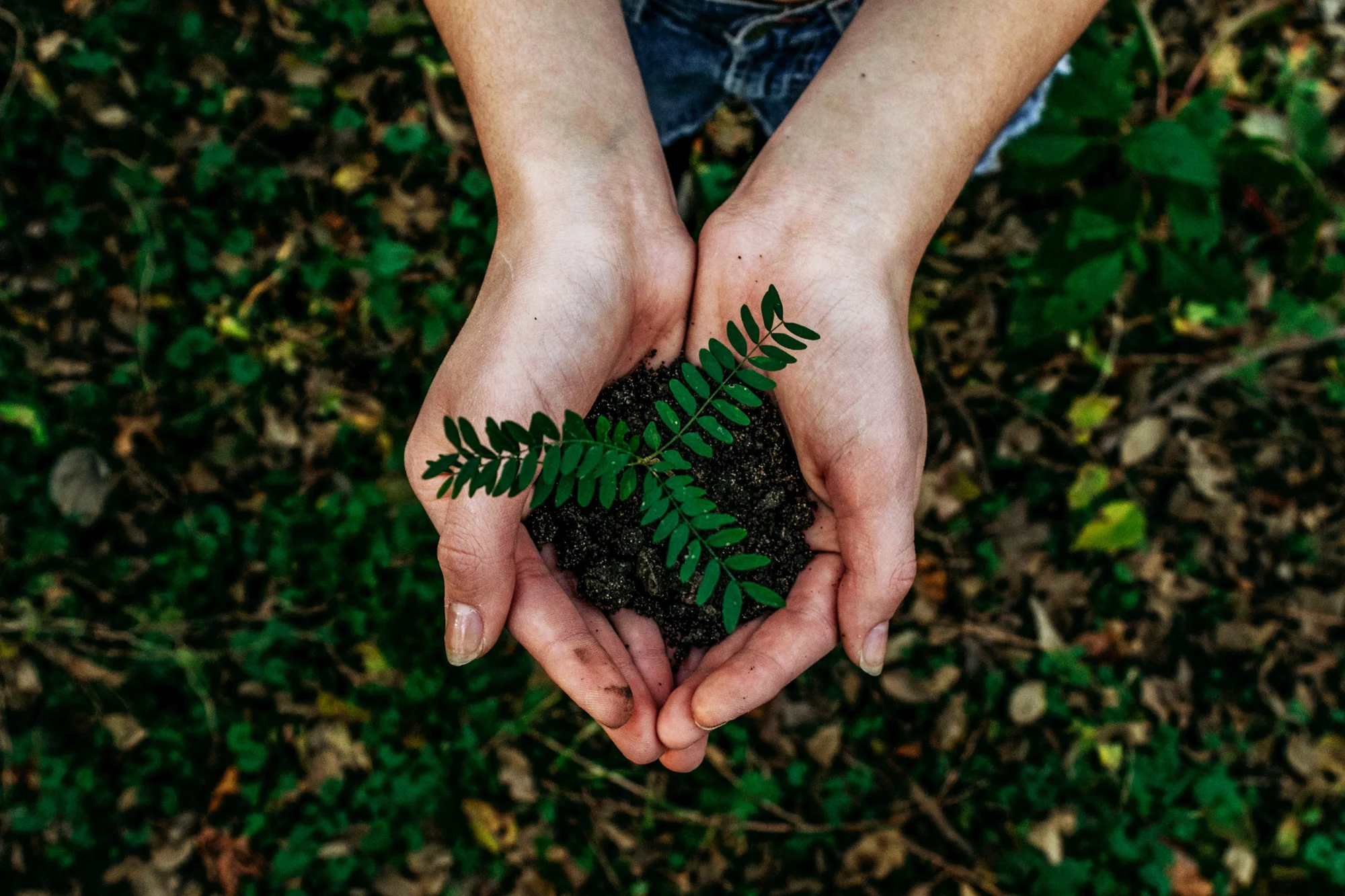Earth Day – 2019