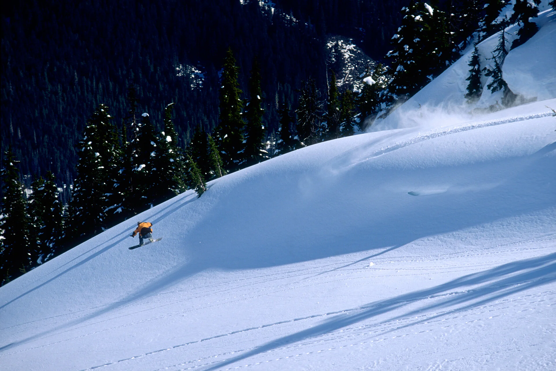 Craig Kelly