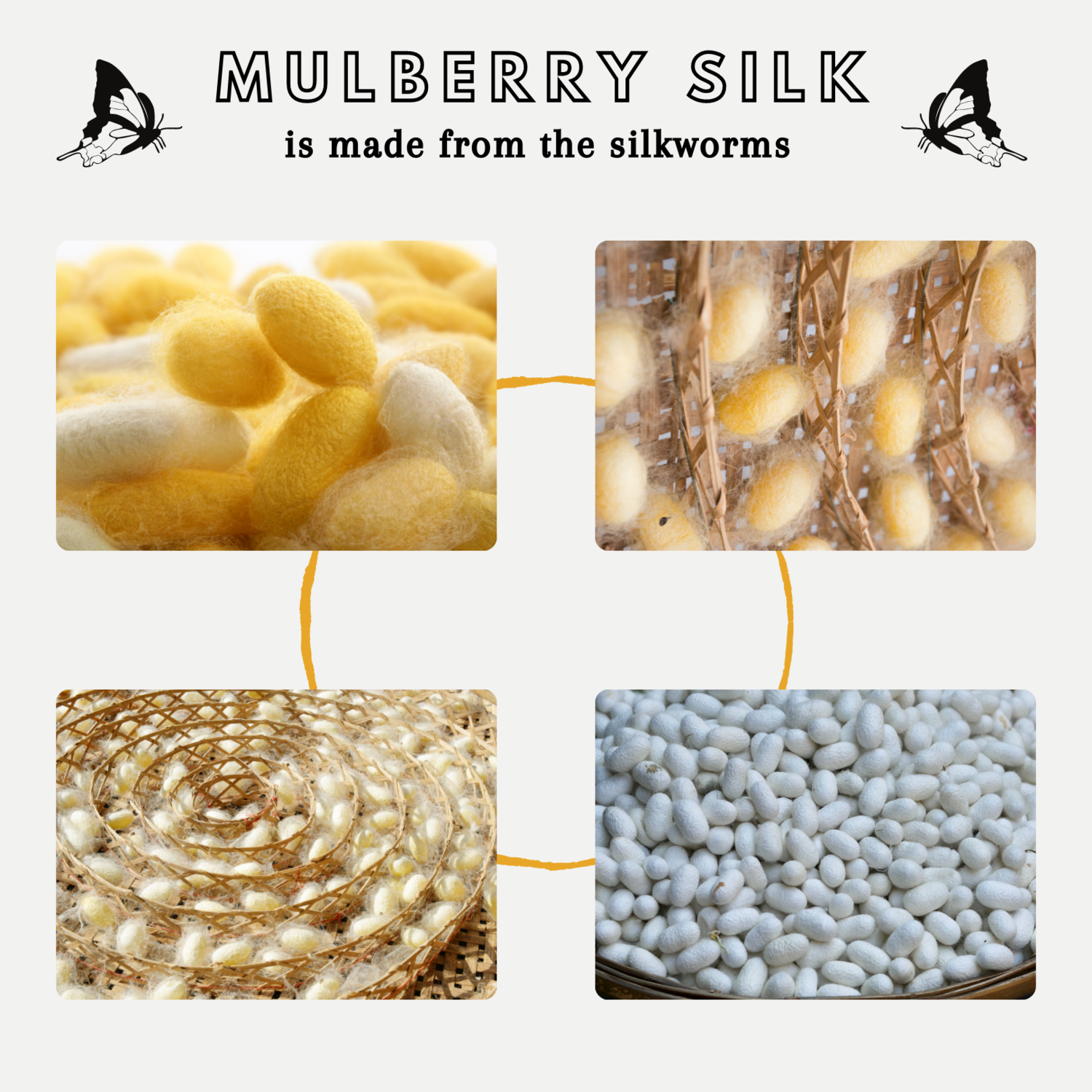 Red 100% Pure Mulberry Silk Charmeuse Fabric, 19mm 44 Width Pre-Cut Silk  Fabric — NOCHKA
