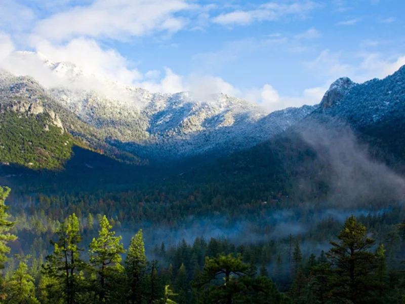 idyllwild-1.jpg