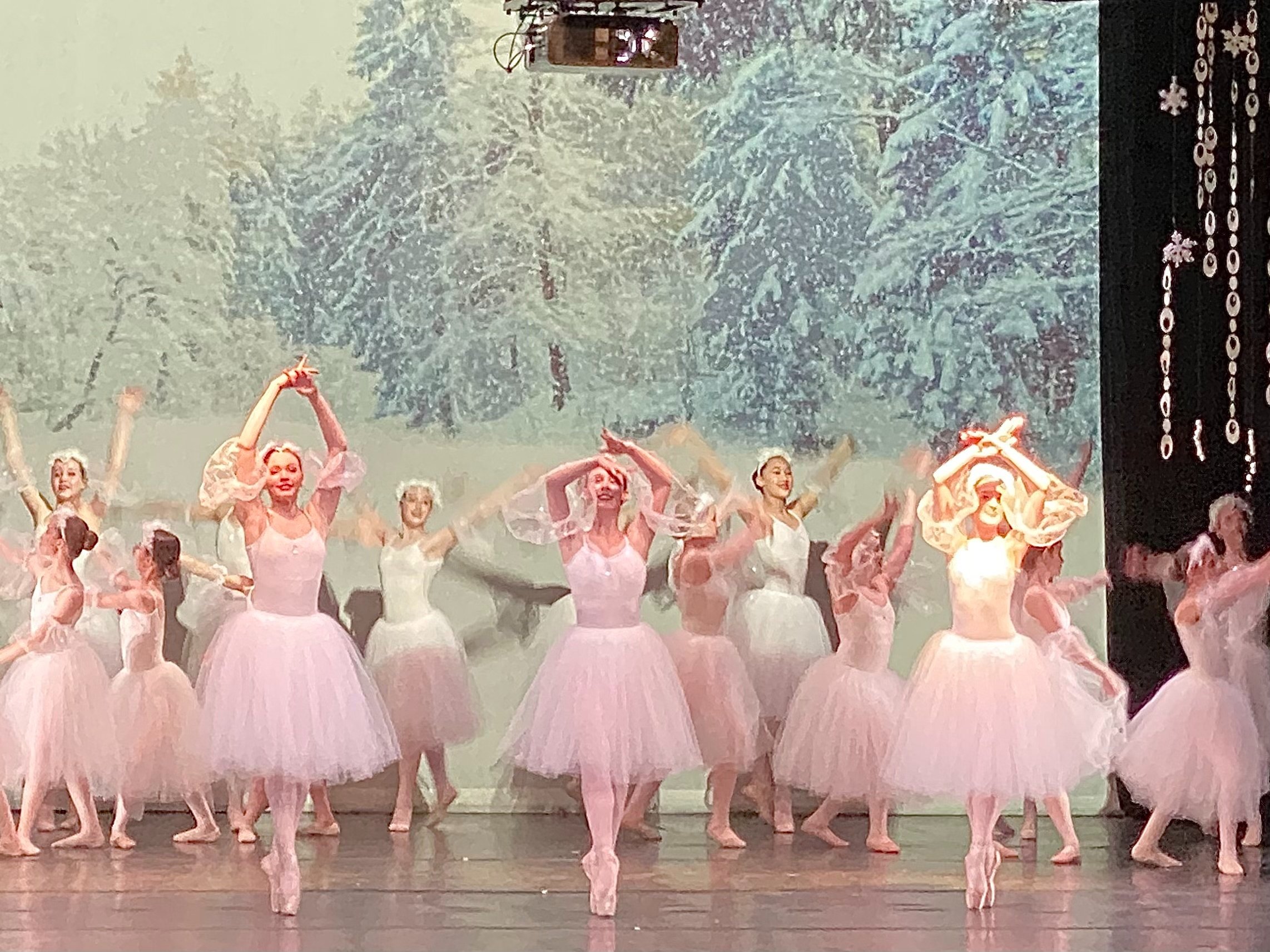 A Frozen Tale...the ballet 2021