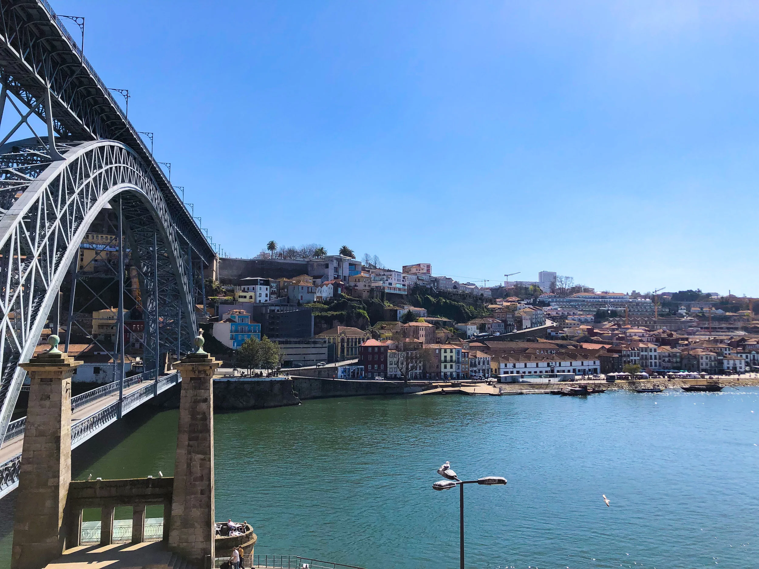 2019-03-19 13.55.59.jpg