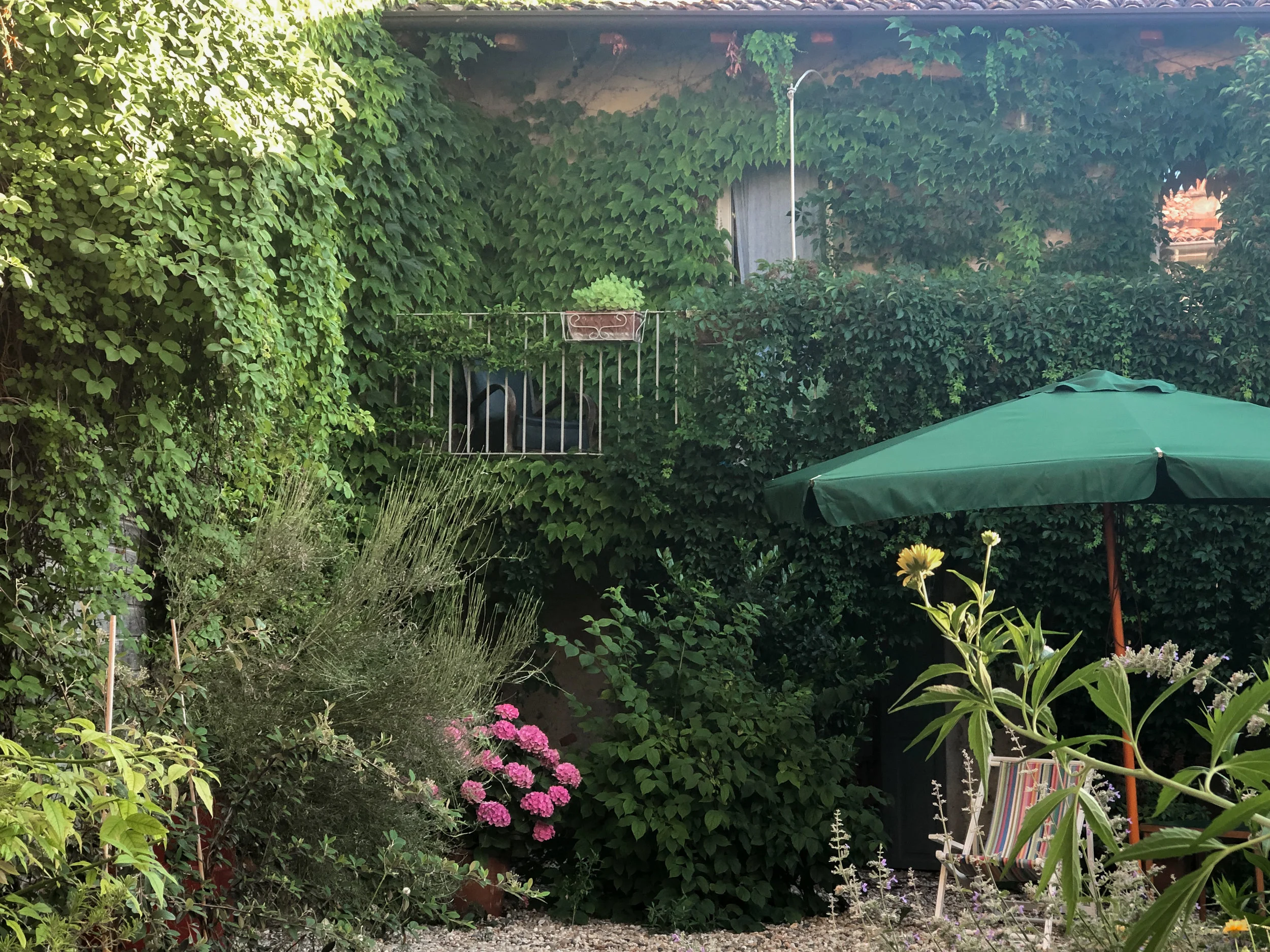 2019-07-16 19.41.37.jpg