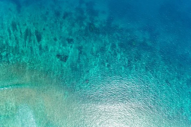 ocean up top.jpeg
