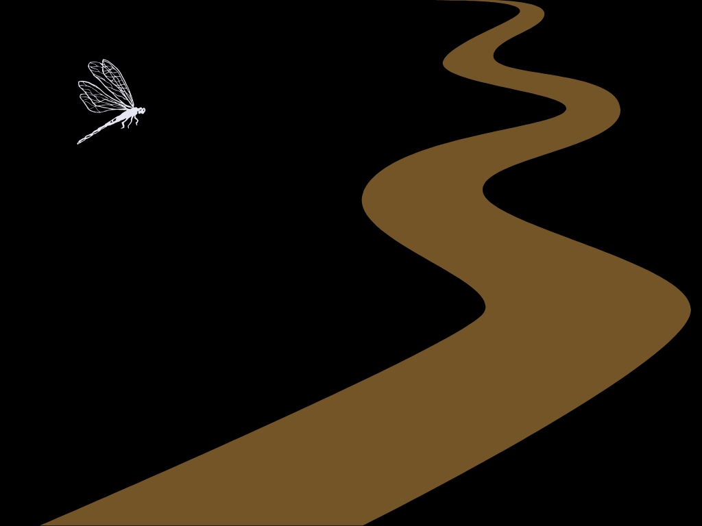Journey of a LightSower (Presentation (43)).png