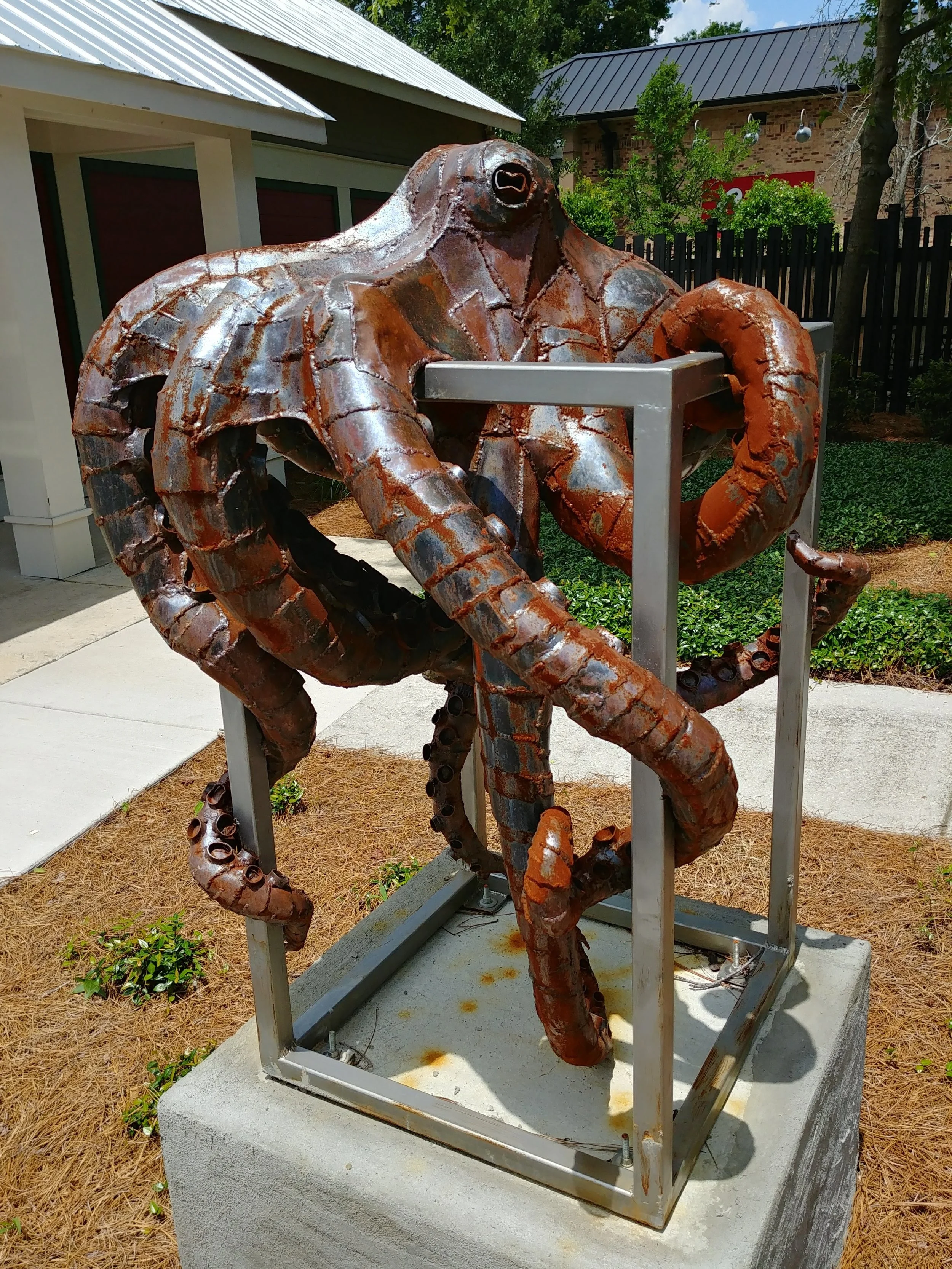 Octopus Frame.jpg