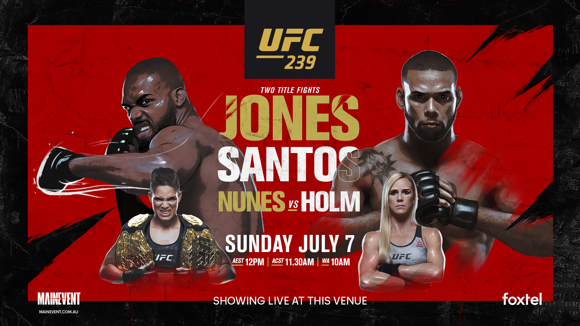 UFC 236