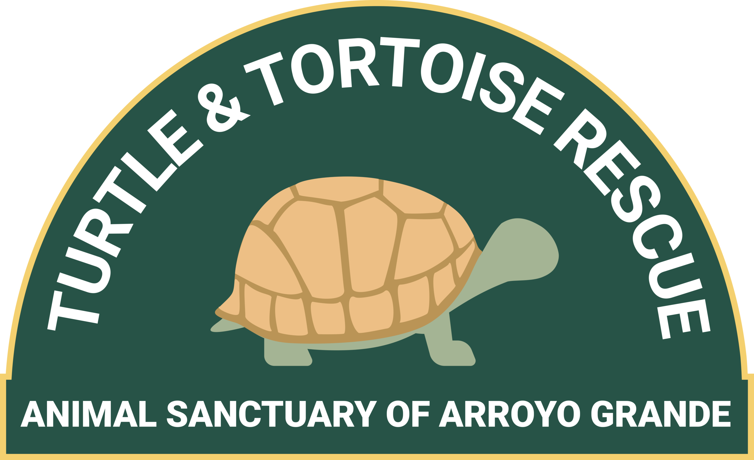 Turtle and Tortoise Rescue