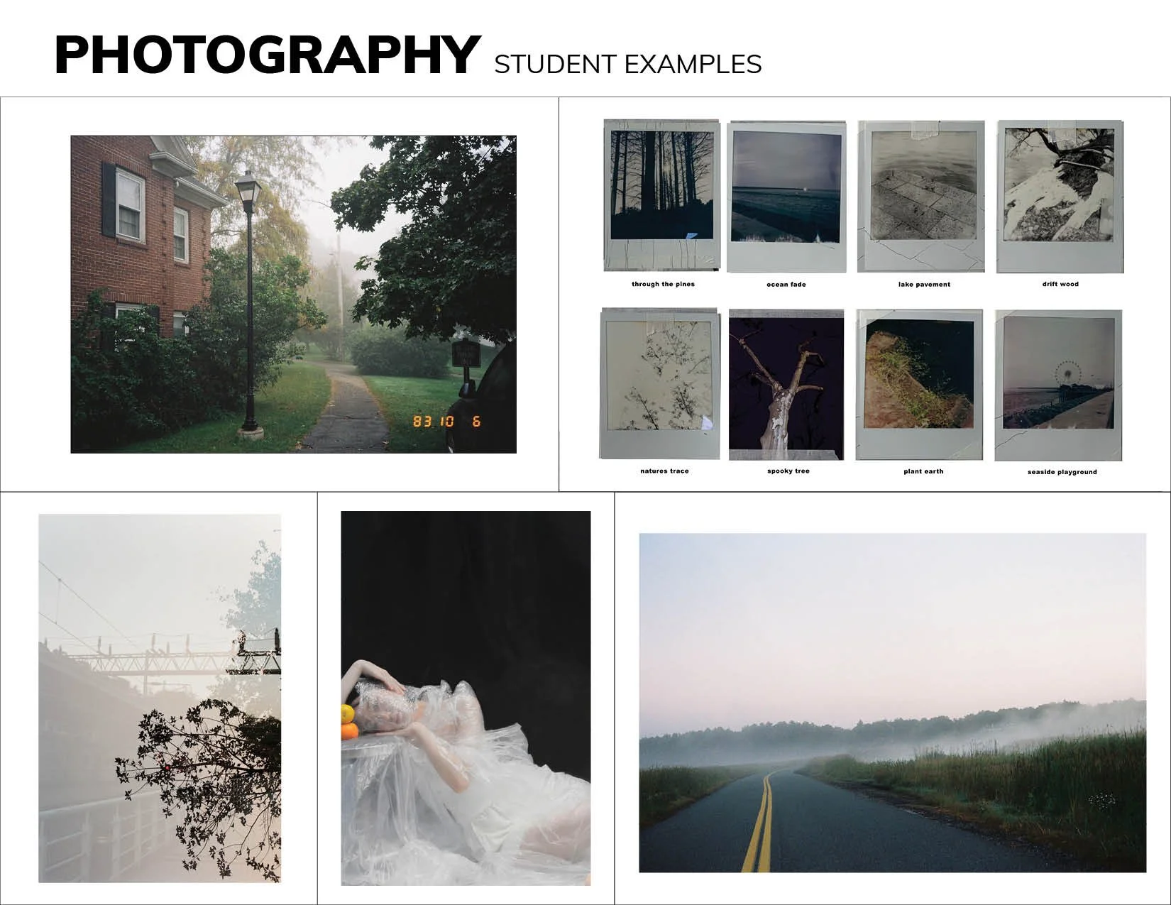 ART MAJOR STUDENT EXAMPLES WEBSITE 21.jpg
