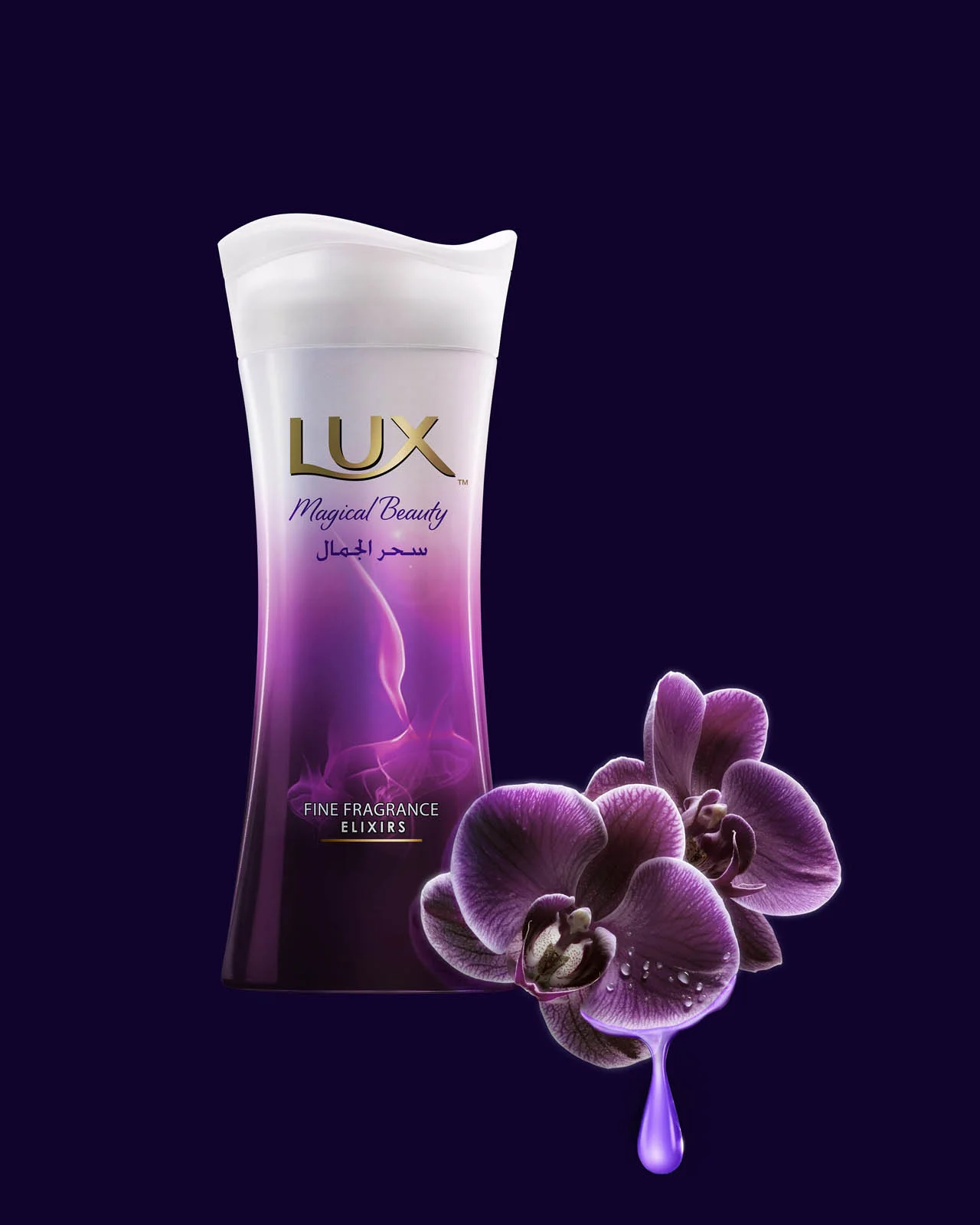 LUX_stella_TKV(Resize).jpg