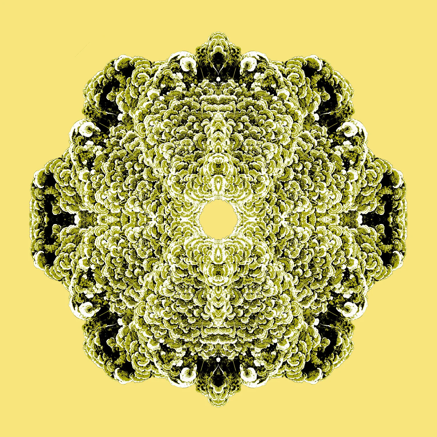 Maitaki Mandala, 1/6, screenprint on paper, 2019   $55