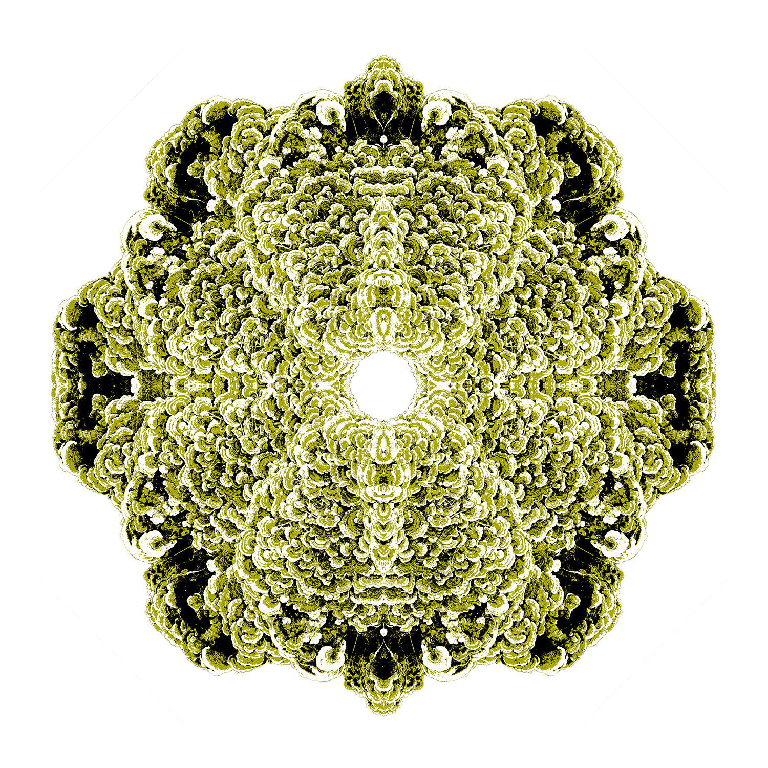 Maitaki Mandala, green/white