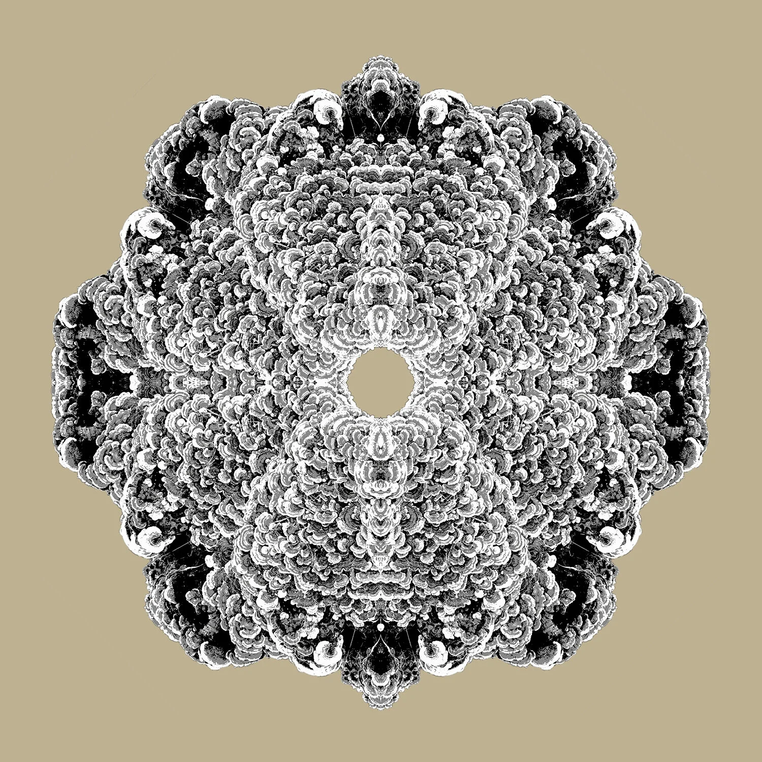 Maitaki Mandala, gray/taupe