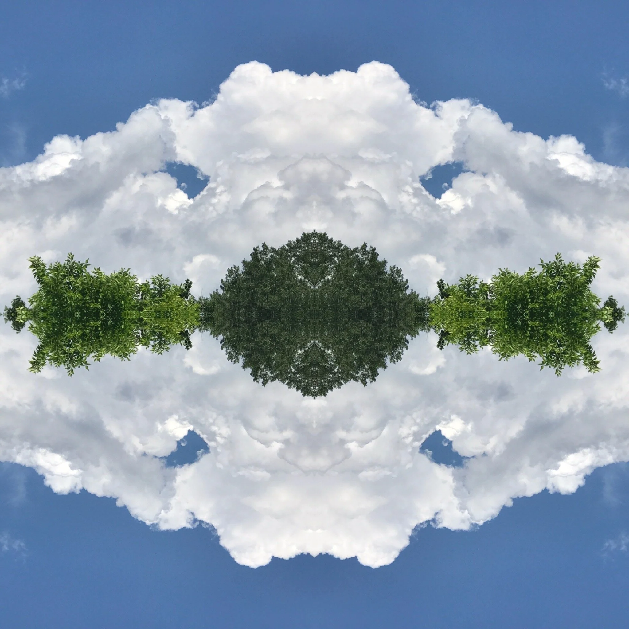  Amazing nature. Why are we wrecking it? 