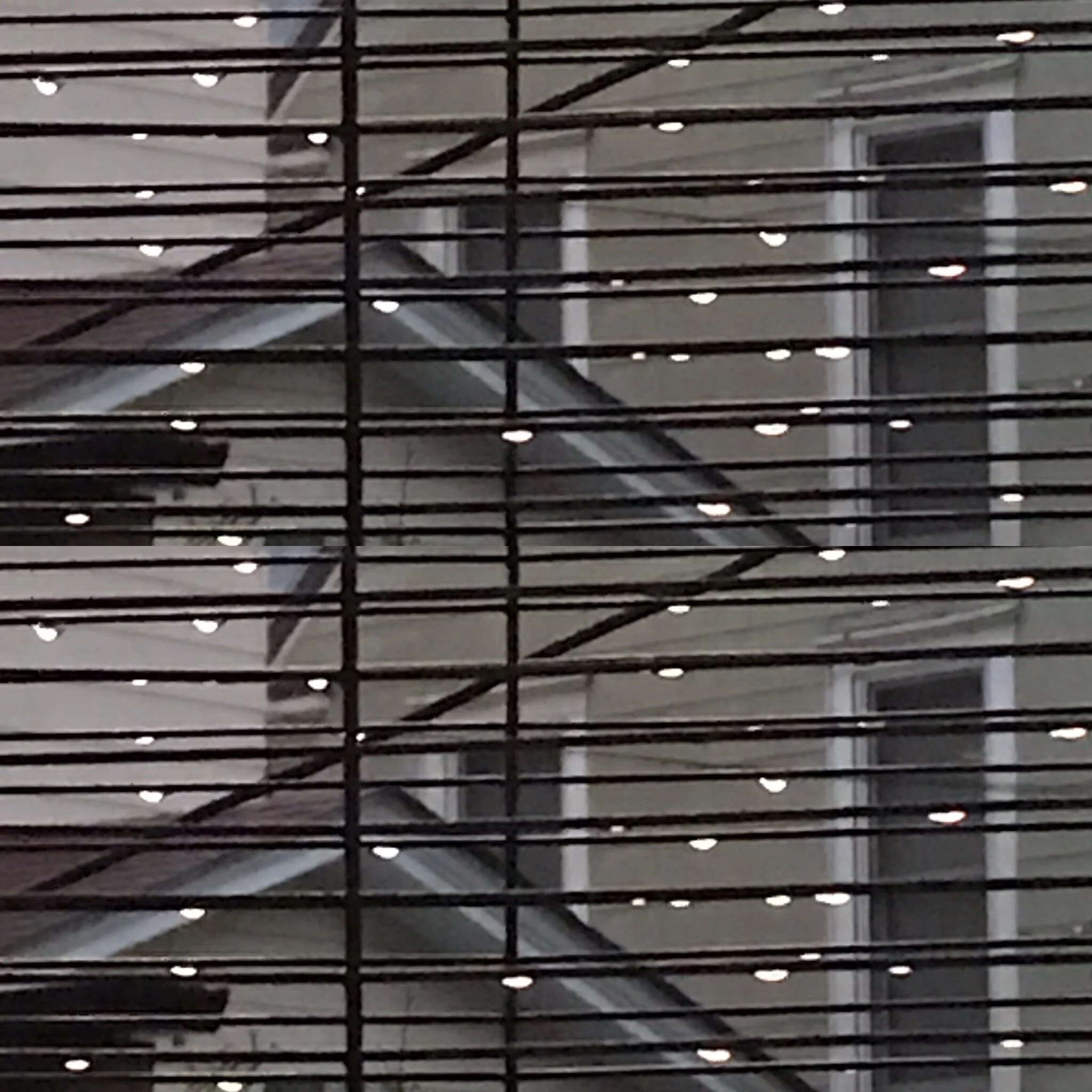  Prisoners in our homes, but lucky to have them. 