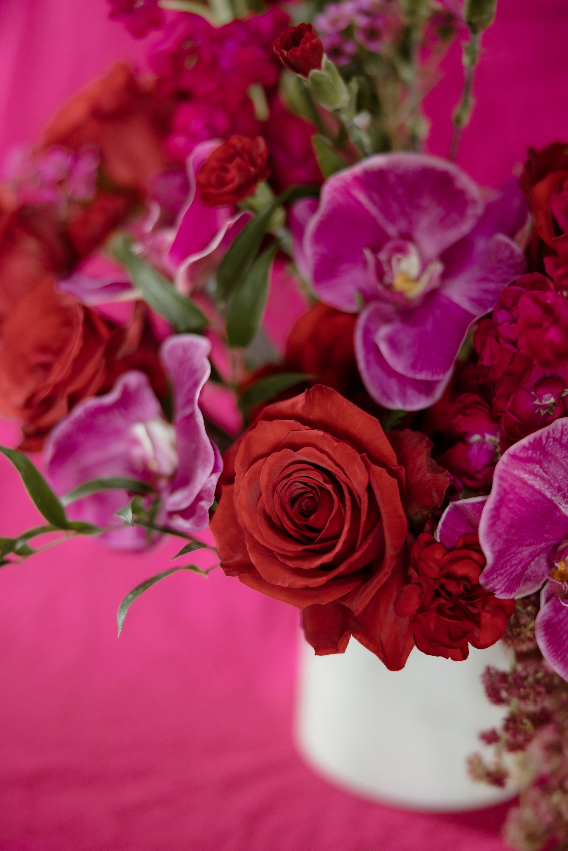 WILD LACE PHOTOS farmacy feb-5.jpg