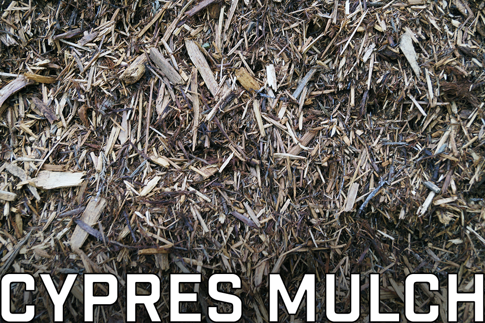 Cypres Mulch.jpg